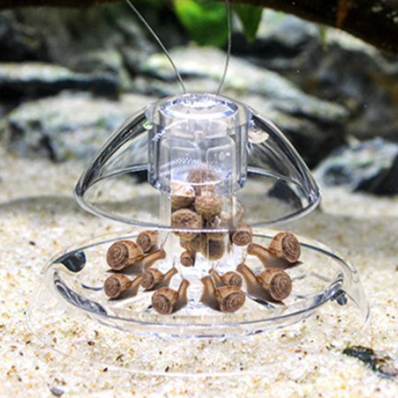 Aquarium Plant Utensils - Fish Tank Accessories Aquarium Plant Snail