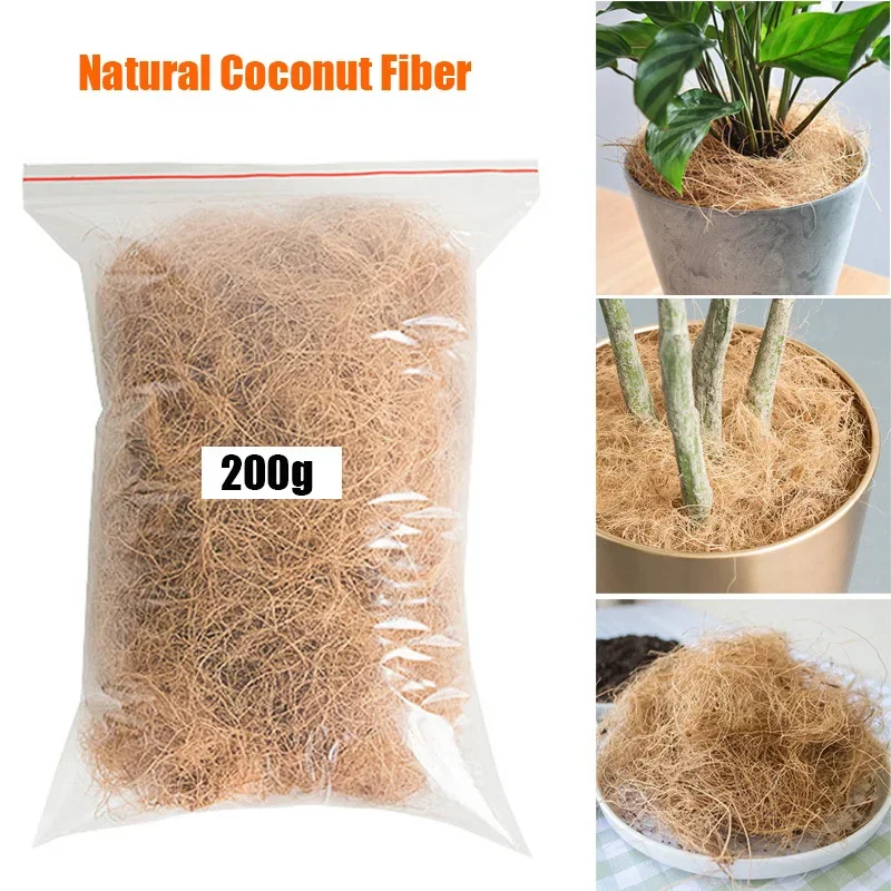 Tissue Culture Plant - Natural Coconut Husk Fiber Flowerpot Cover