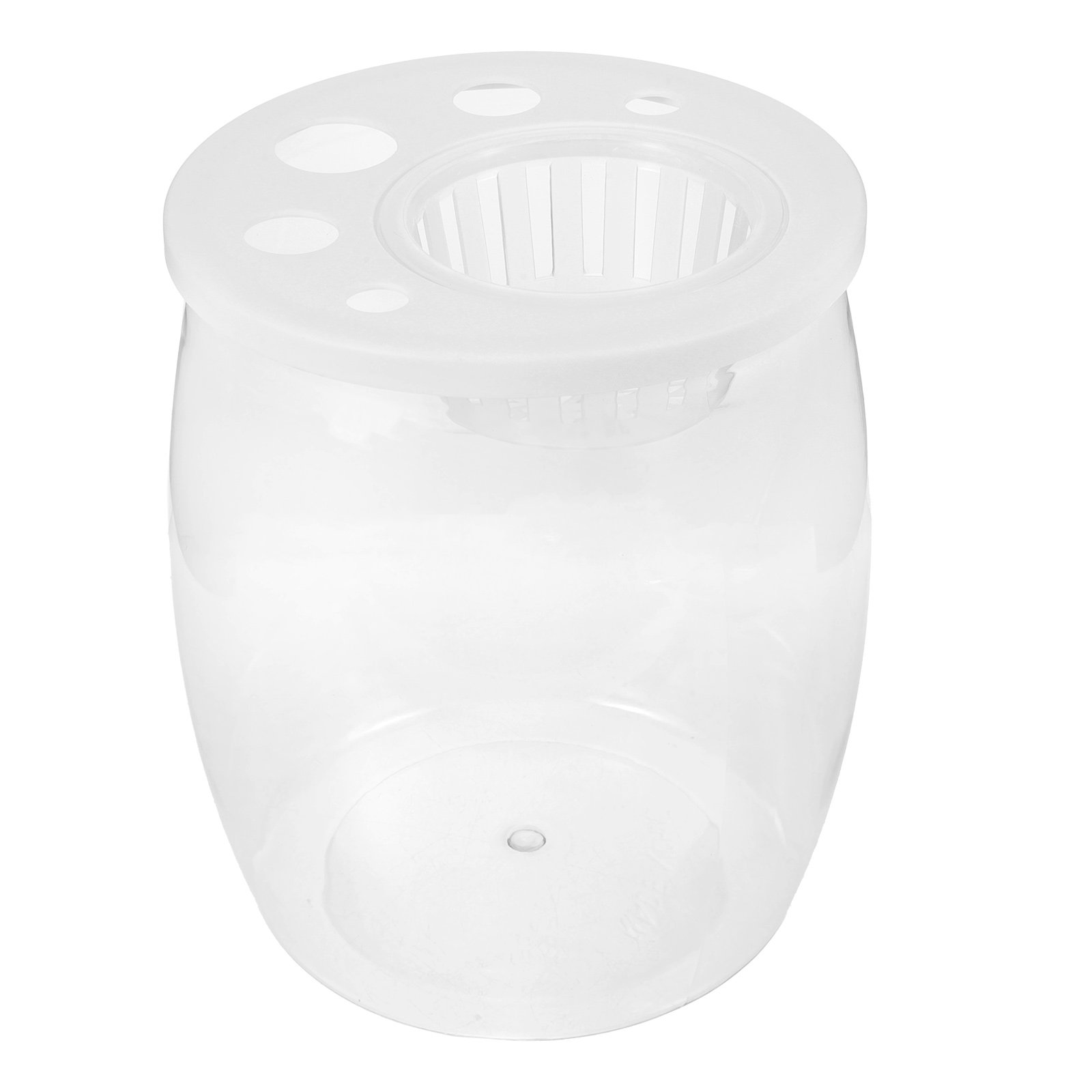 Aquarium Planted Tank Setup - Small Transparent Hydroponic Fish Tank for