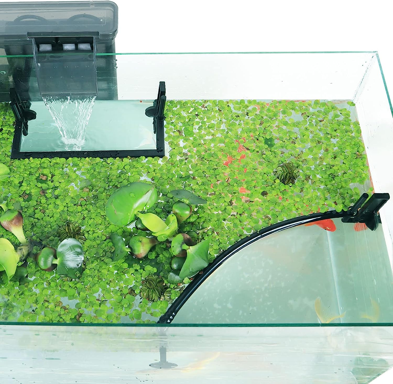 Planted Aquarium Heater - Aquarium Floating Plant Corral, Intercepting Floating