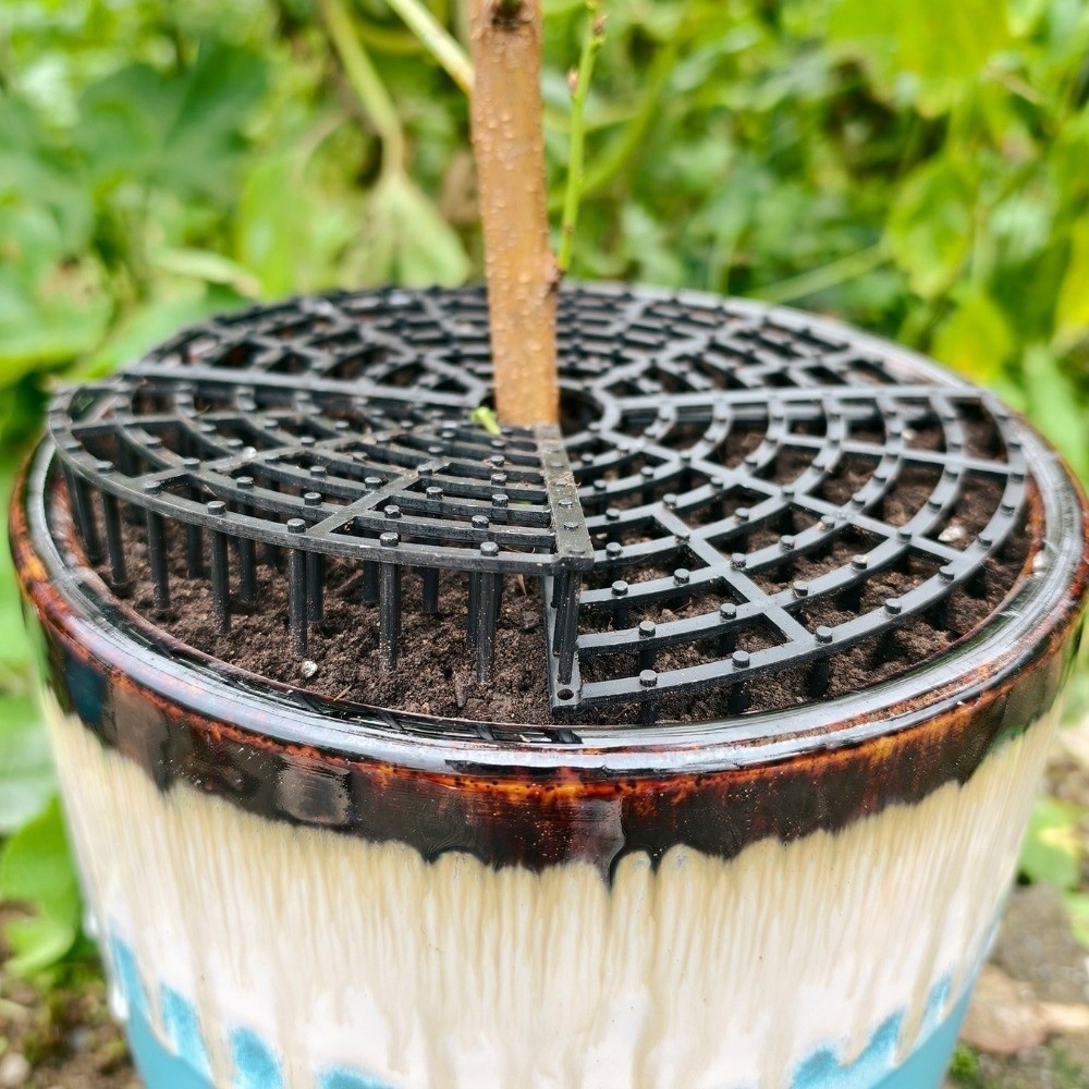 Tissue Culture Plant - Breathable Mesh Plant Pot Soil Protector