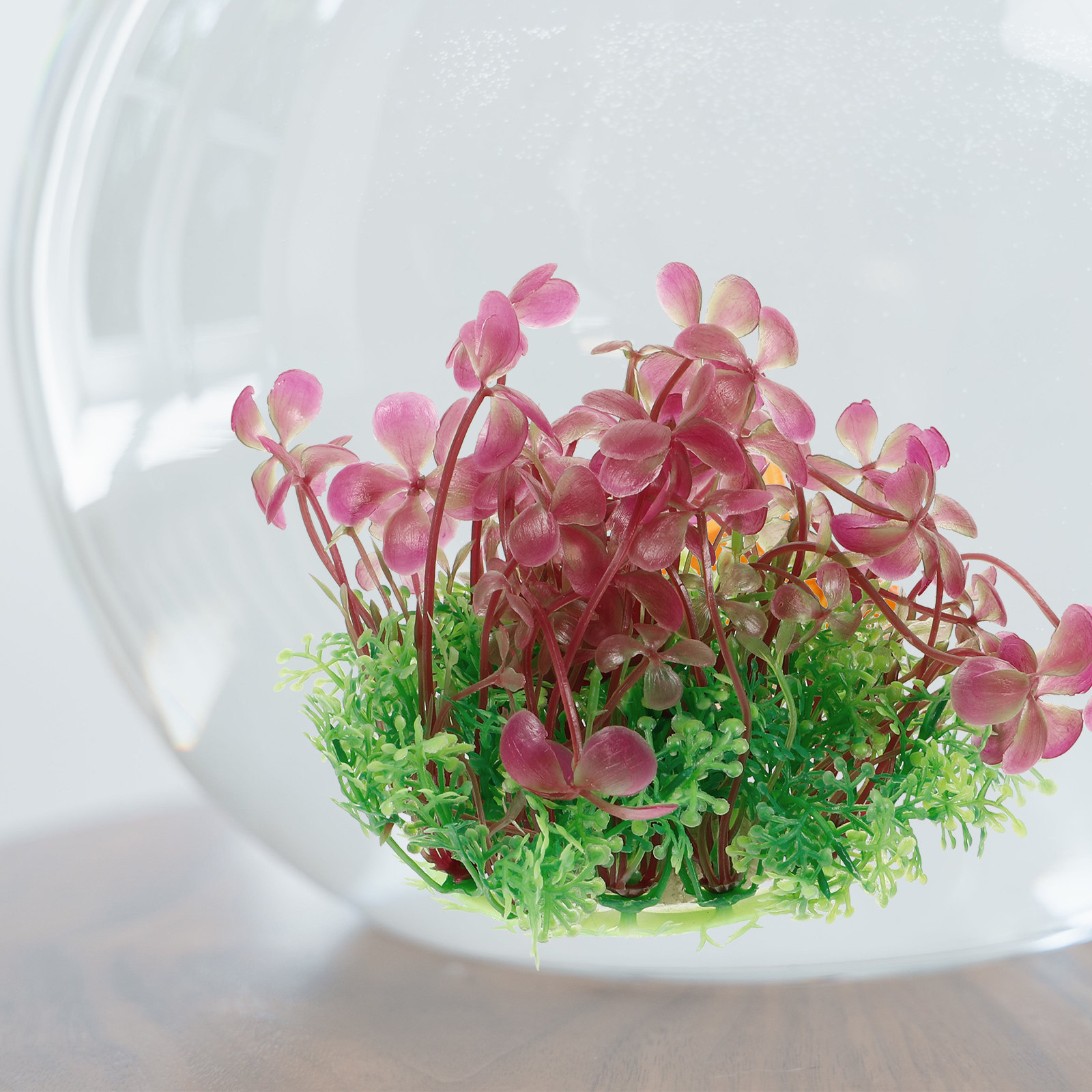 Aquarium Planted Tank Setup - 4 Leaf Clover Aquarium Decoration Realistic