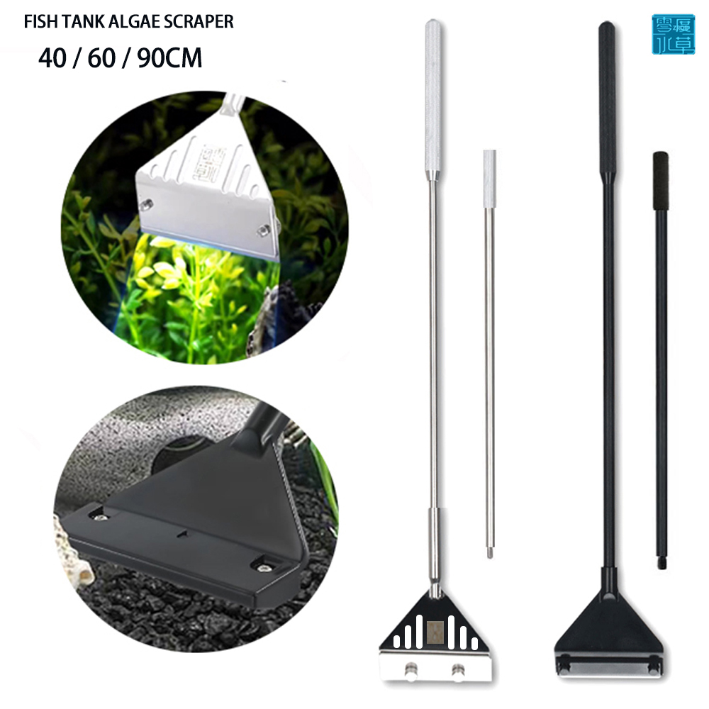 Planted Aquarium Algae - Aquarium stainless steel fish tank algae