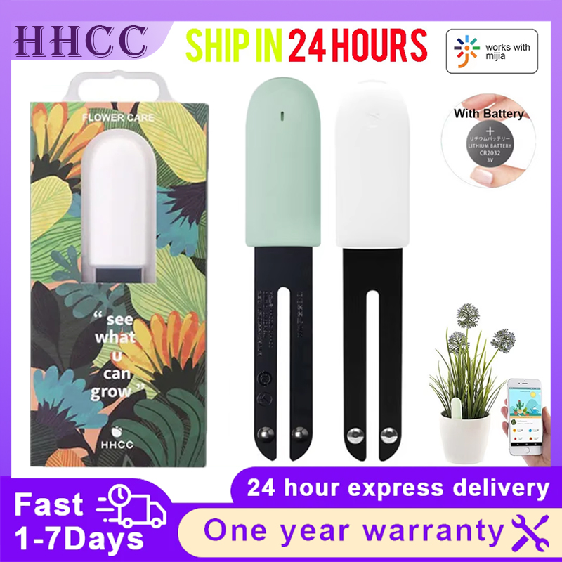 Tissue Culture Plant - HHCC Flower Monitor Flora Garden Care