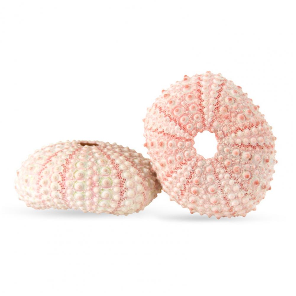 Planted Aquarium Air Stone - 5cm-6cm Sea Shell Conch Ornament DIY