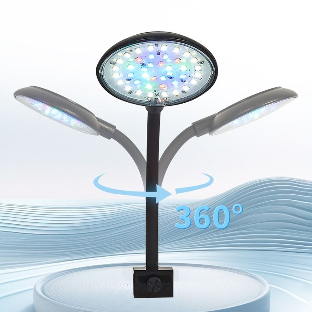 Aquarium Plant Echinodorus - Mini Fish Tank Clip Lamp 5/7W