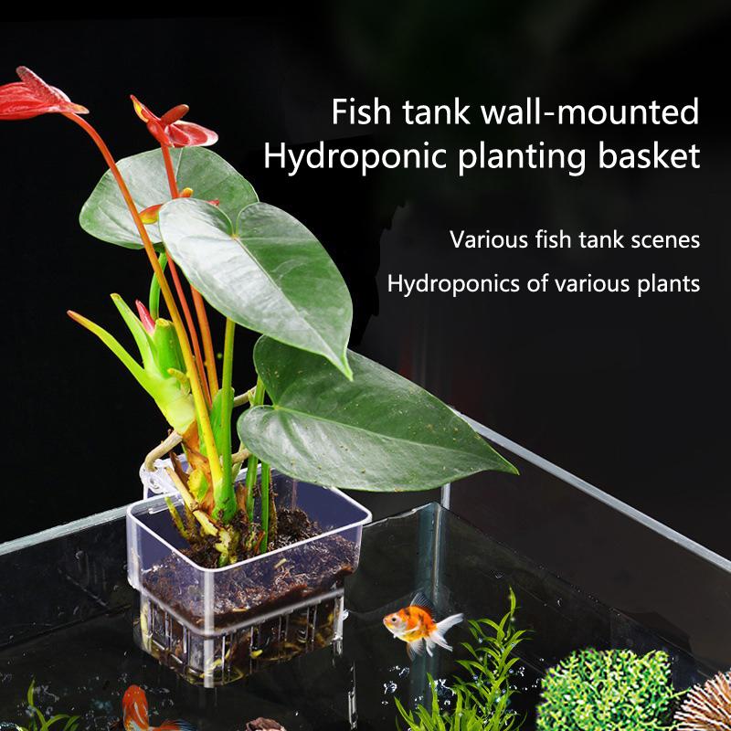 Aquarium Planted Tank Setup - Aquarium Hydroponic Planting Cup 2 5