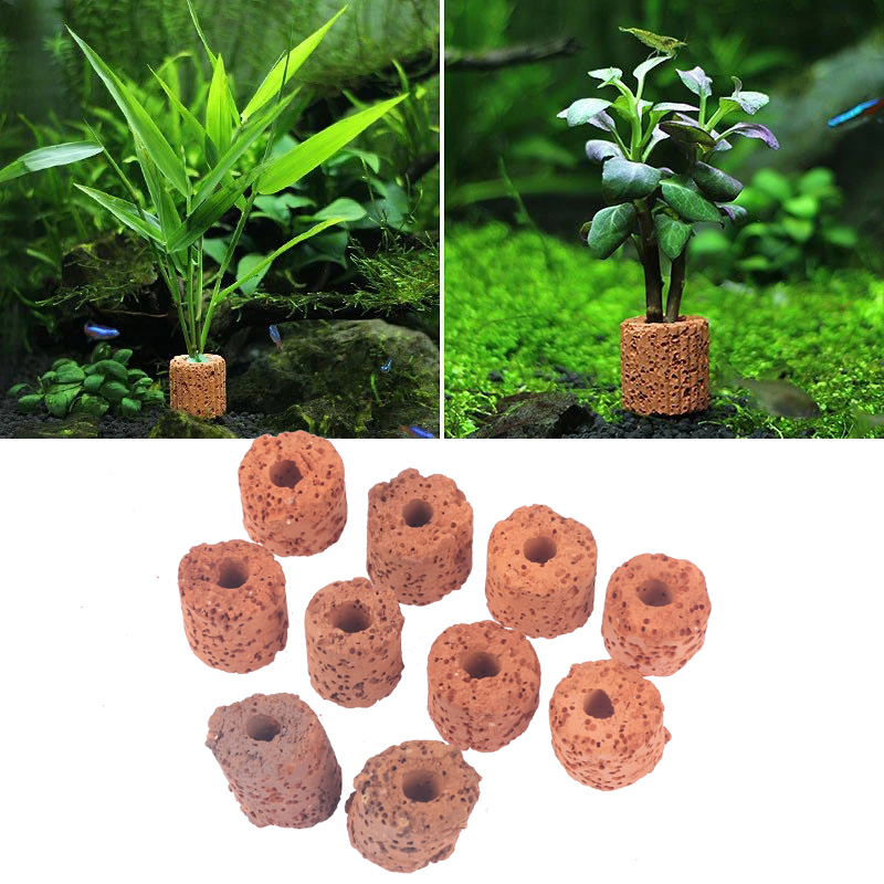 Aquarium Planted Tank Setup - 10Pcs Mini Aquatic Plant Ring Bio
