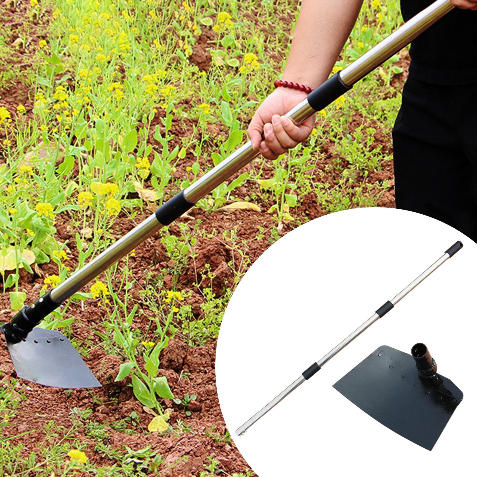 Tissue Culture Plant - Weeding Sickle Hoe Adjustable Long Handle