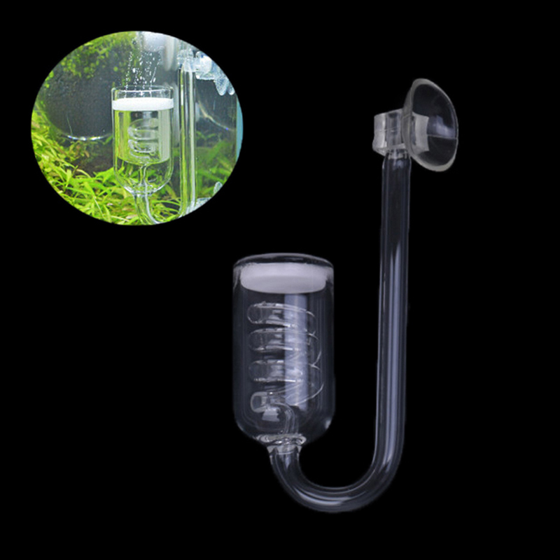 Aquarium Plant Echinodorus - Fish Tank Aquarium Plant CO2 System
