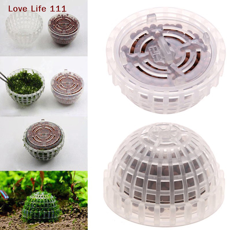 Aquarium Plant Echinodorus - New Aquatic Pet Supplies Decorations Aquarium