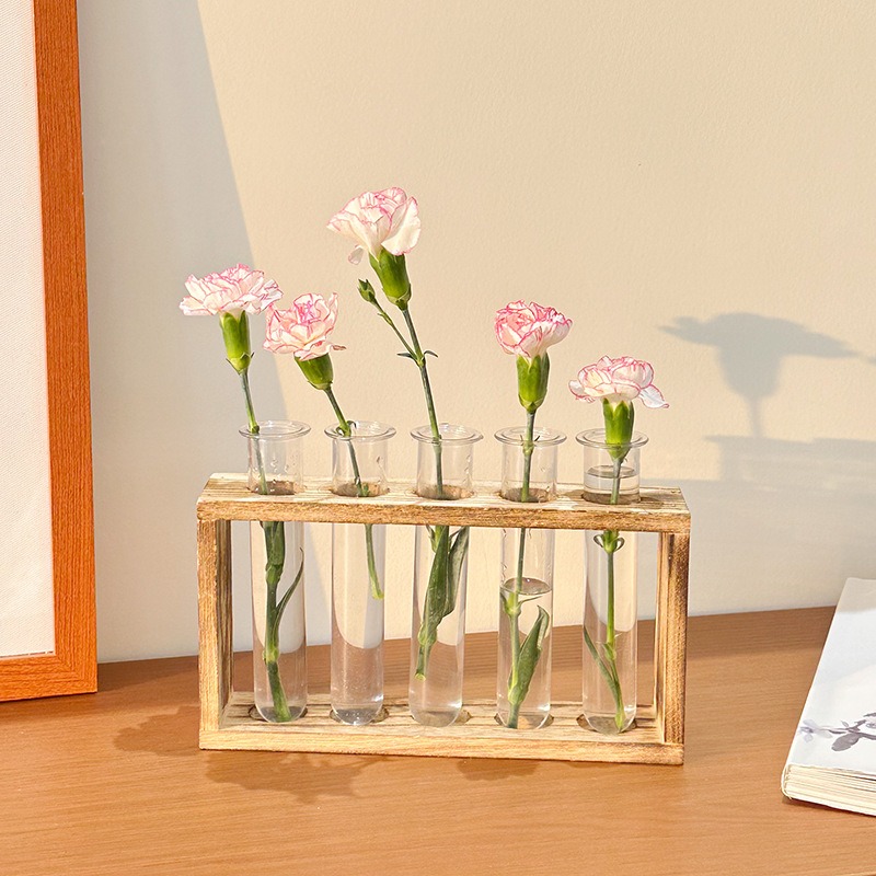 Tissue Culture Plant - Creative Hydroponic Plants Container with Wood
