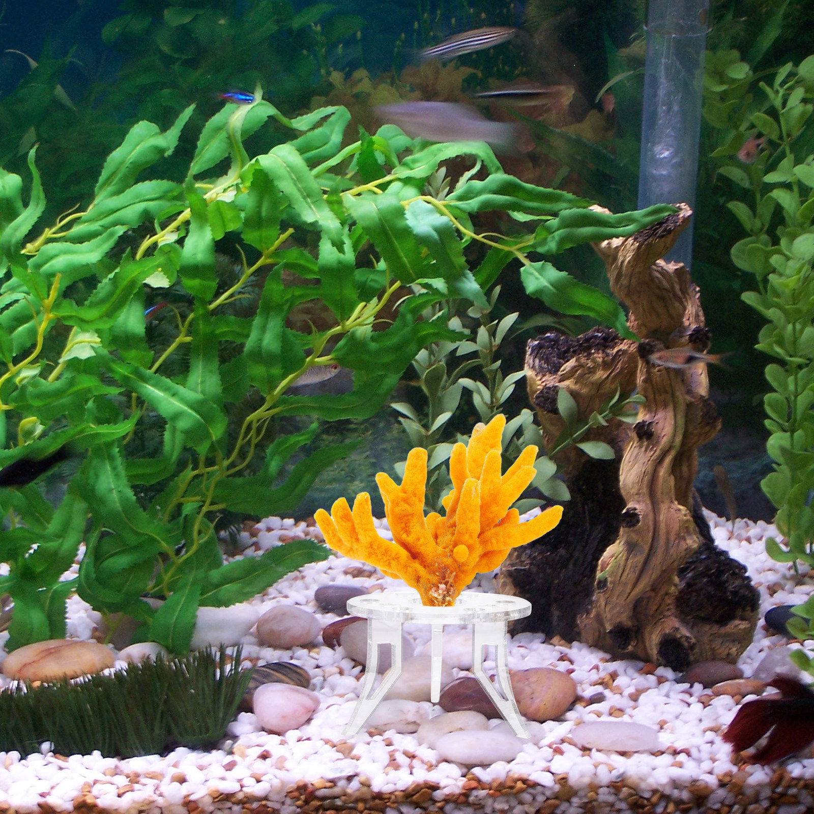 Aquarium Planted Tank Setup - 1Pcs Coral Base Stylish Strong Aquarium