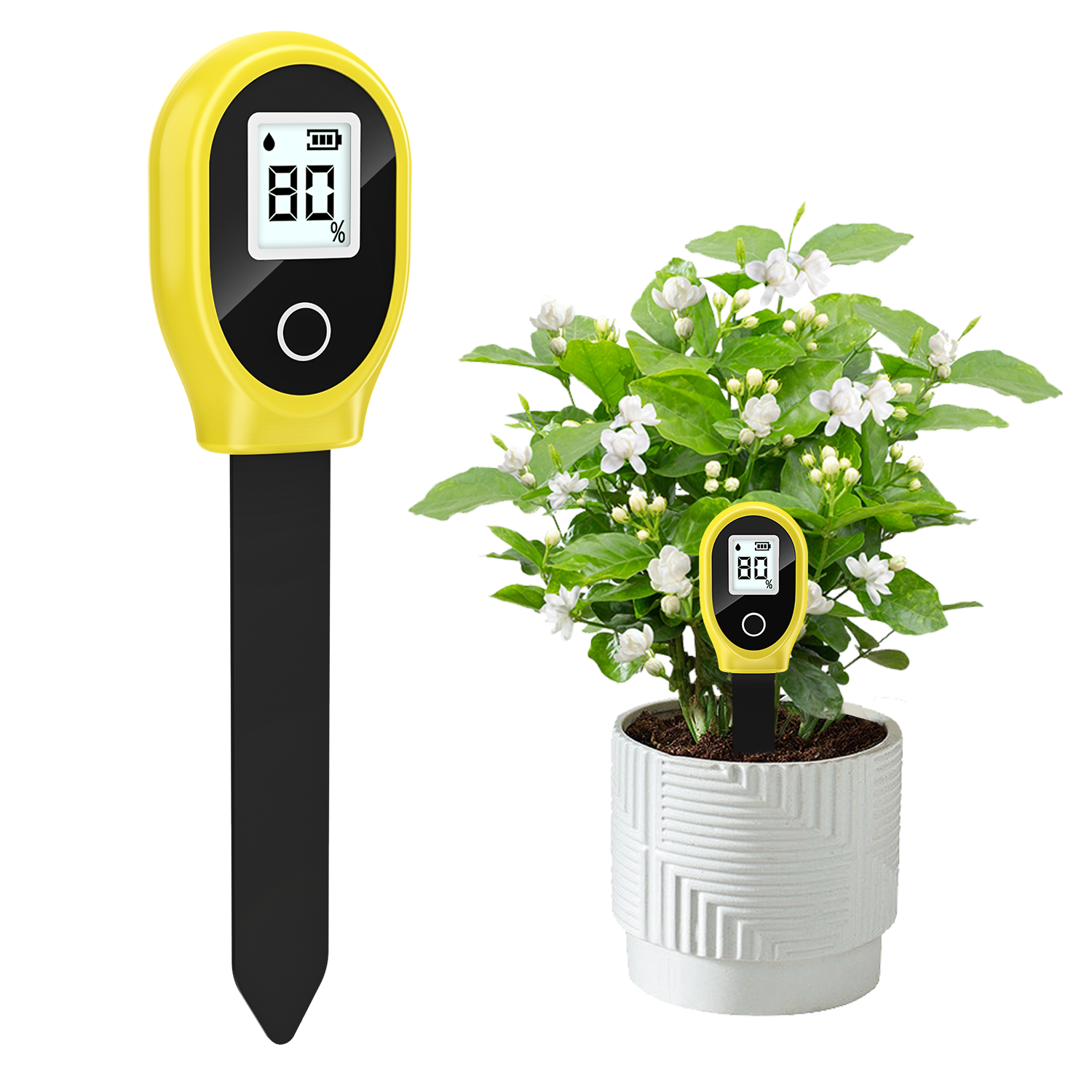 Tissue Culture Plant - Soil Moisture Sensor Monitor Plants Moist
