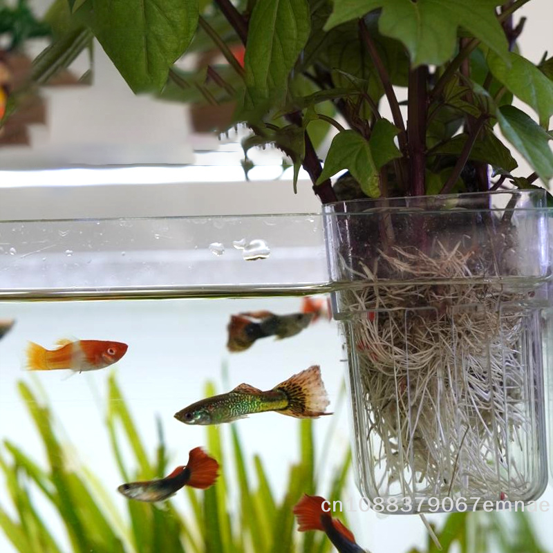 Wall-Mounted Transparent Hydro - Aquarium Planted Tank Setup recensie en prijs