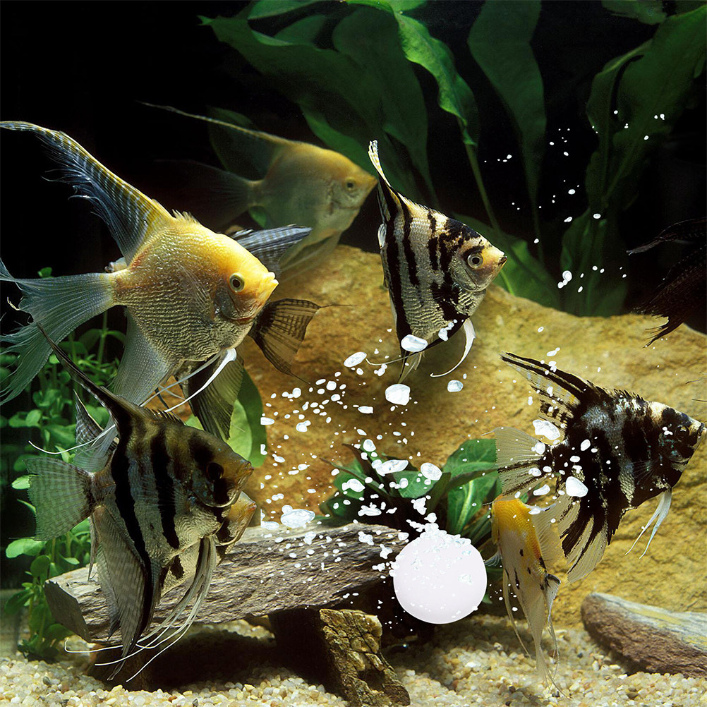 3 Bags Water-Soluble Co2 Table - Aquarium Plant Nutrients recensie en prijs