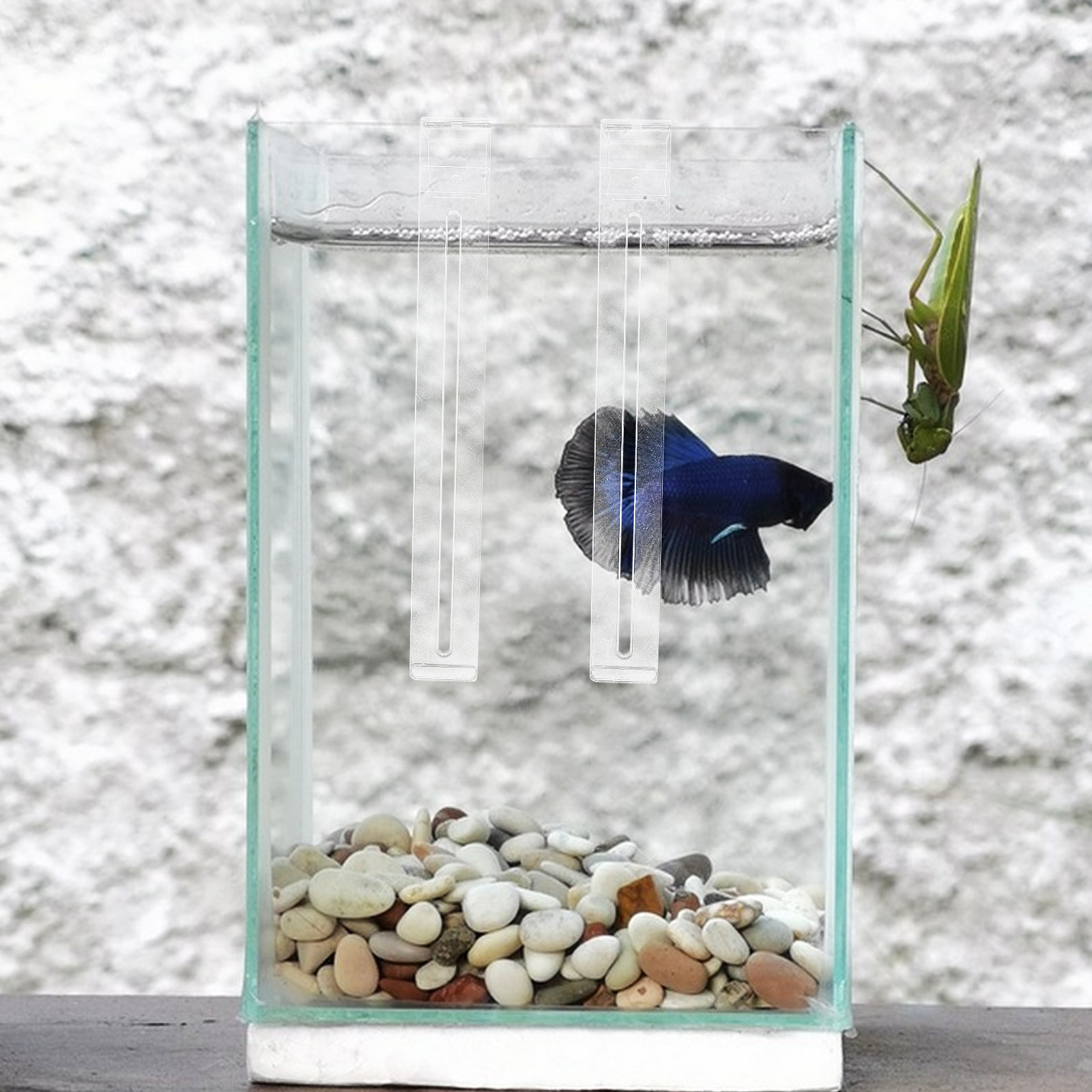 2Pcs Lightweight Sturdy Plasti - Aquarium Planted Tank Setup recensie en prijs