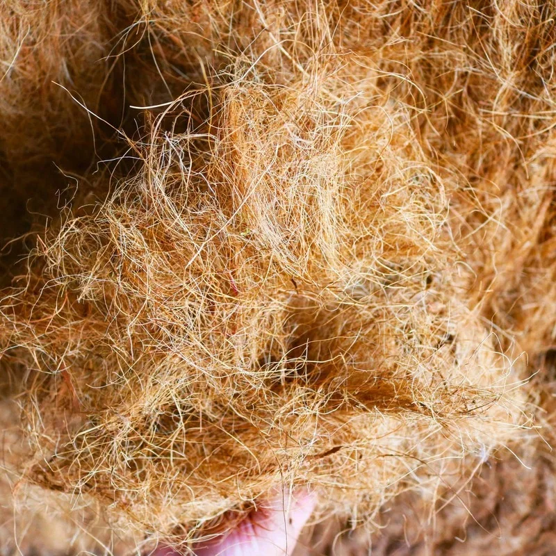 Natural Coconut Husk Fiber Flo - Tissue Culture Plant recensie en prijs