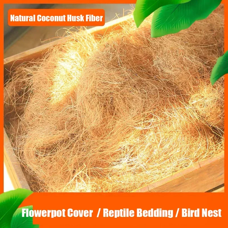 Natural Coconut Husk Fiber Flo - Tissue Culture Plant recensie en prijs