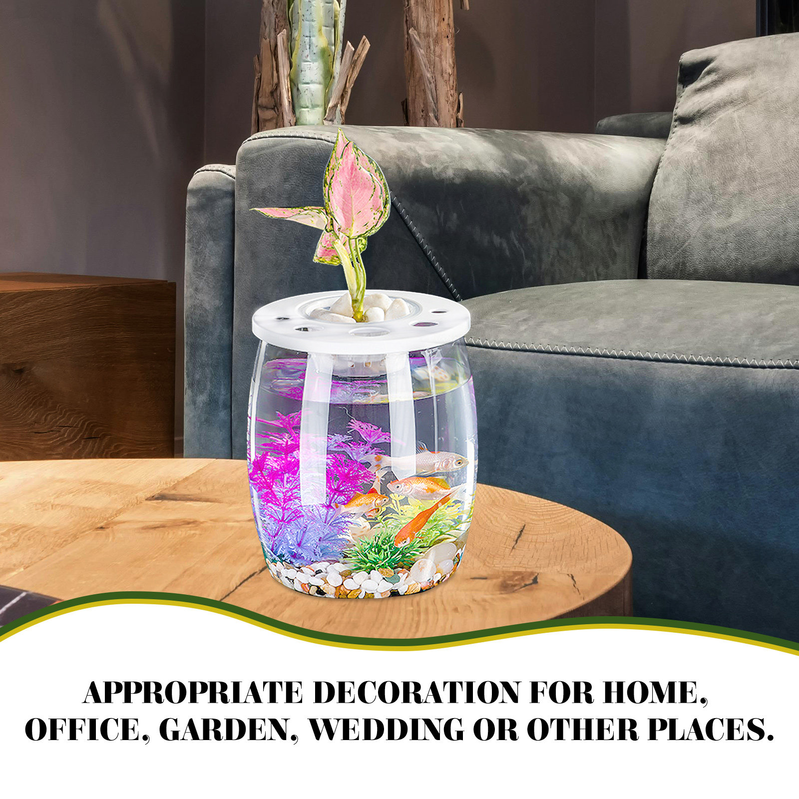 Small Transparent Hydroponic F - Aquarium Planted Tank Setup recensie en prijs