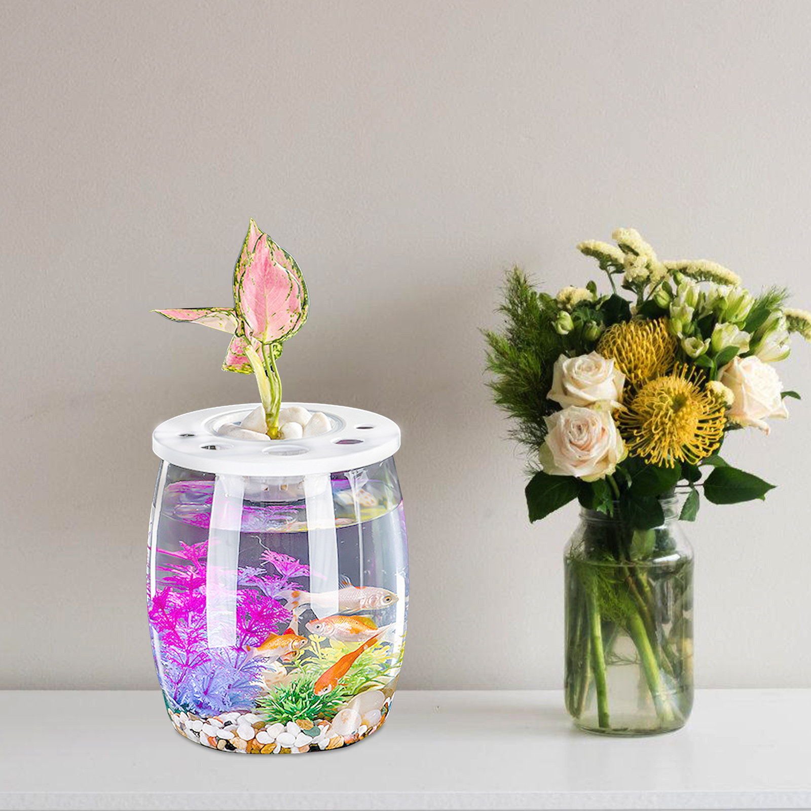Small Transparent Hydroponic F - Aquarium Planted Tank Setup recensie en prijs