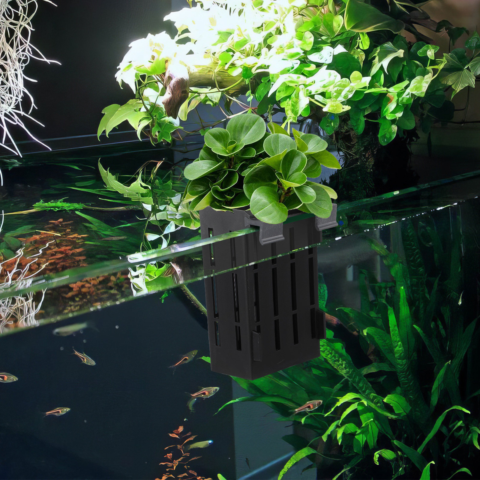 4Pcs Aquatic Plant Holder Prem - Aquarium Plant Nutrients recensie en prijs