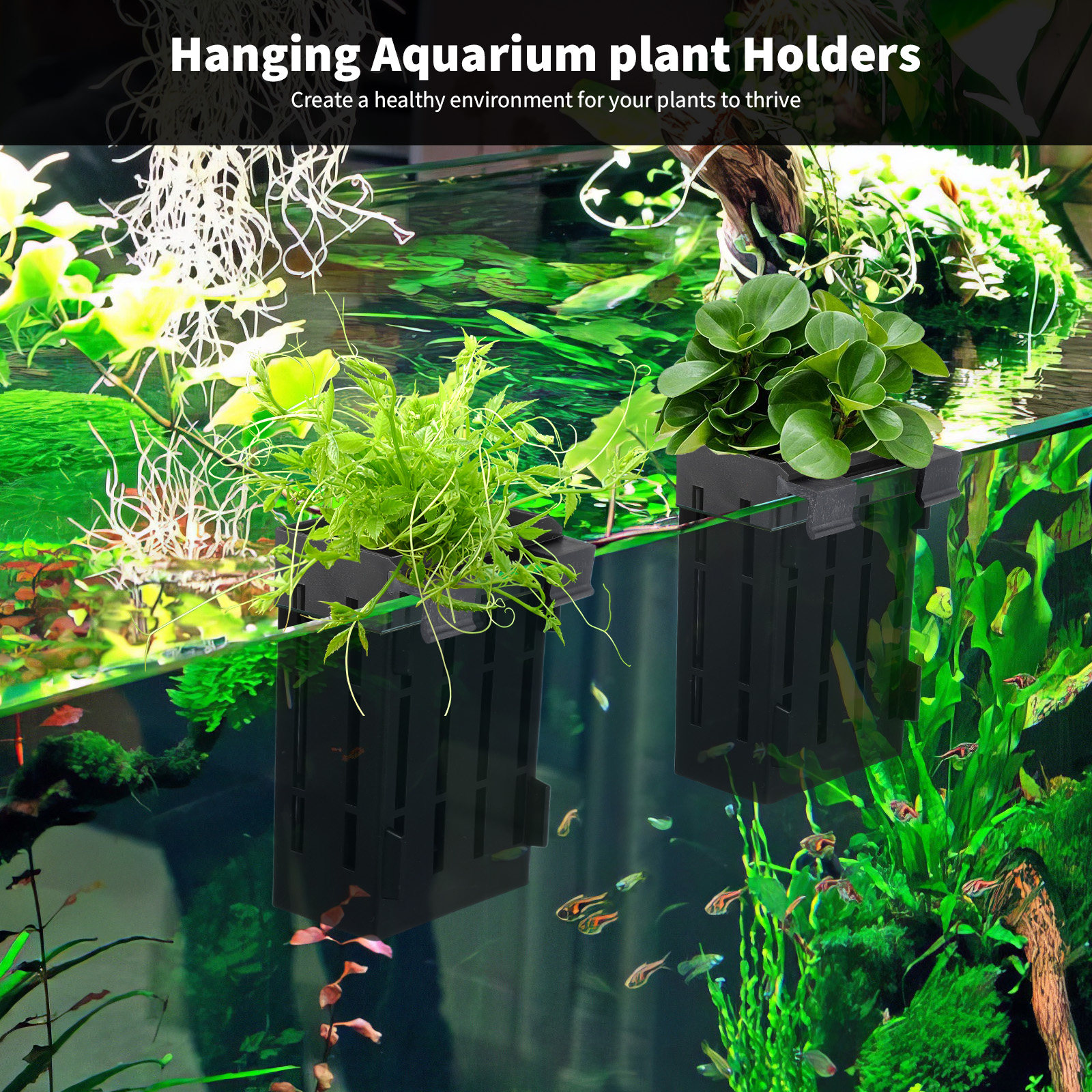 4Pcs Aquatic Plant Holder Prem - Aquarium Plant Nutrients recensie en prijs