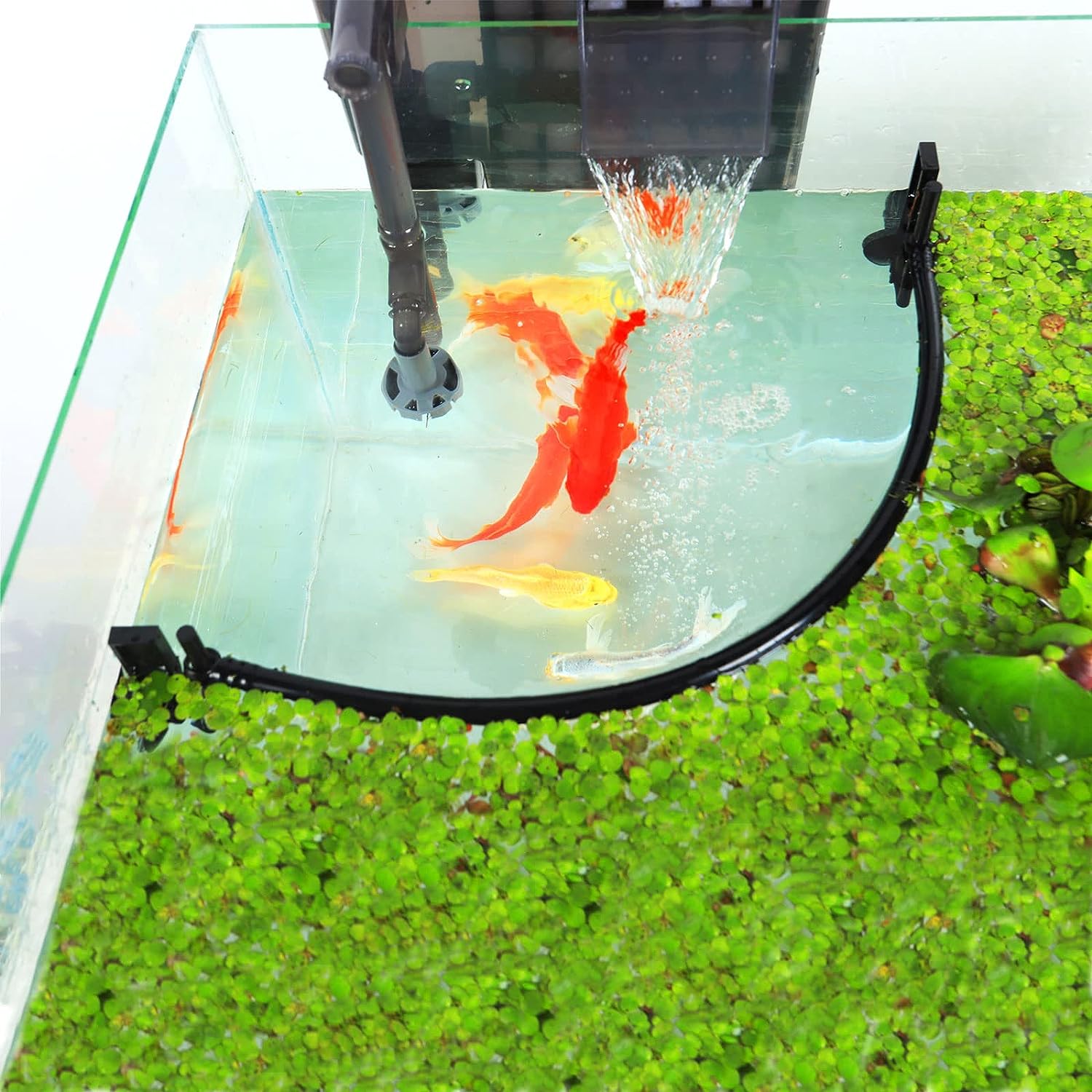 Aquarium Floating Plant Corral - Planted Aquarium Heater recensie en prijs