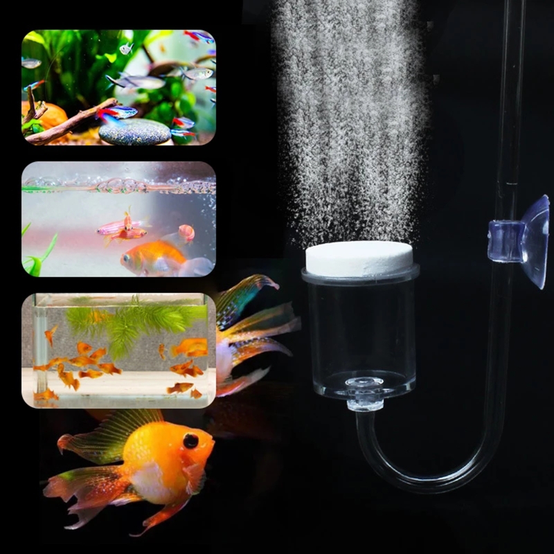 4pcs Set DIY CO2 Diffuser For  - Aquarium Plant Echinodorus recensie en prijs