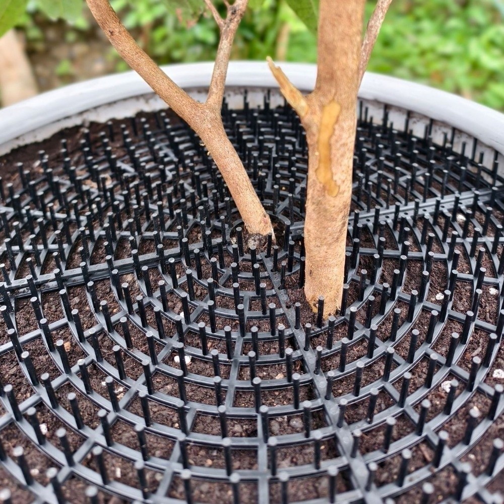 Breathable Mesh Plant Pot Soil - Tissue Culture Plant recensie en prijs