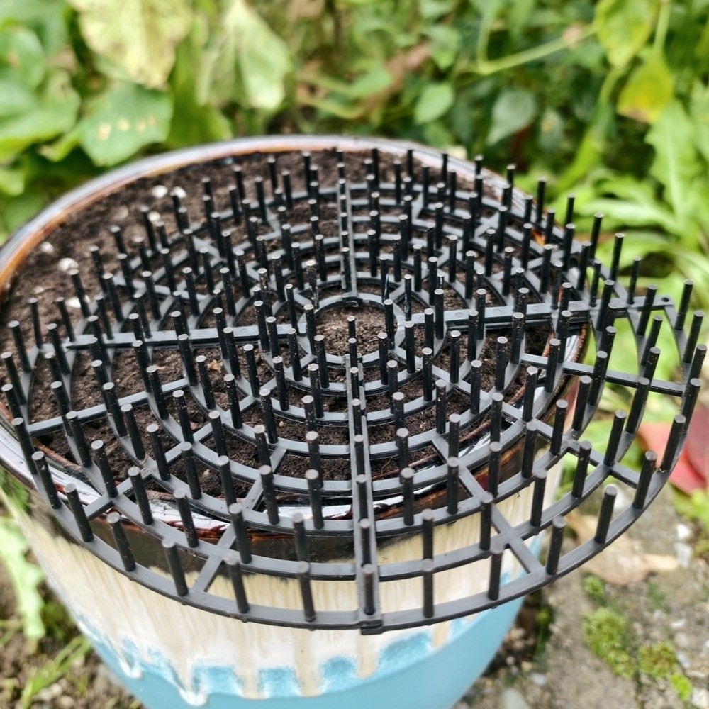 Breathable Mesh Plant Pot Soil - Tissue Culture Plant recensie en prijs