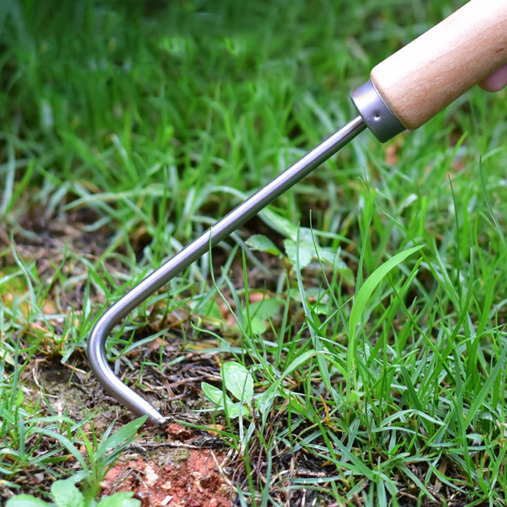 1PC Single Claw Hook Soil Loos - Tissue Culture Plant recensie en prijs
