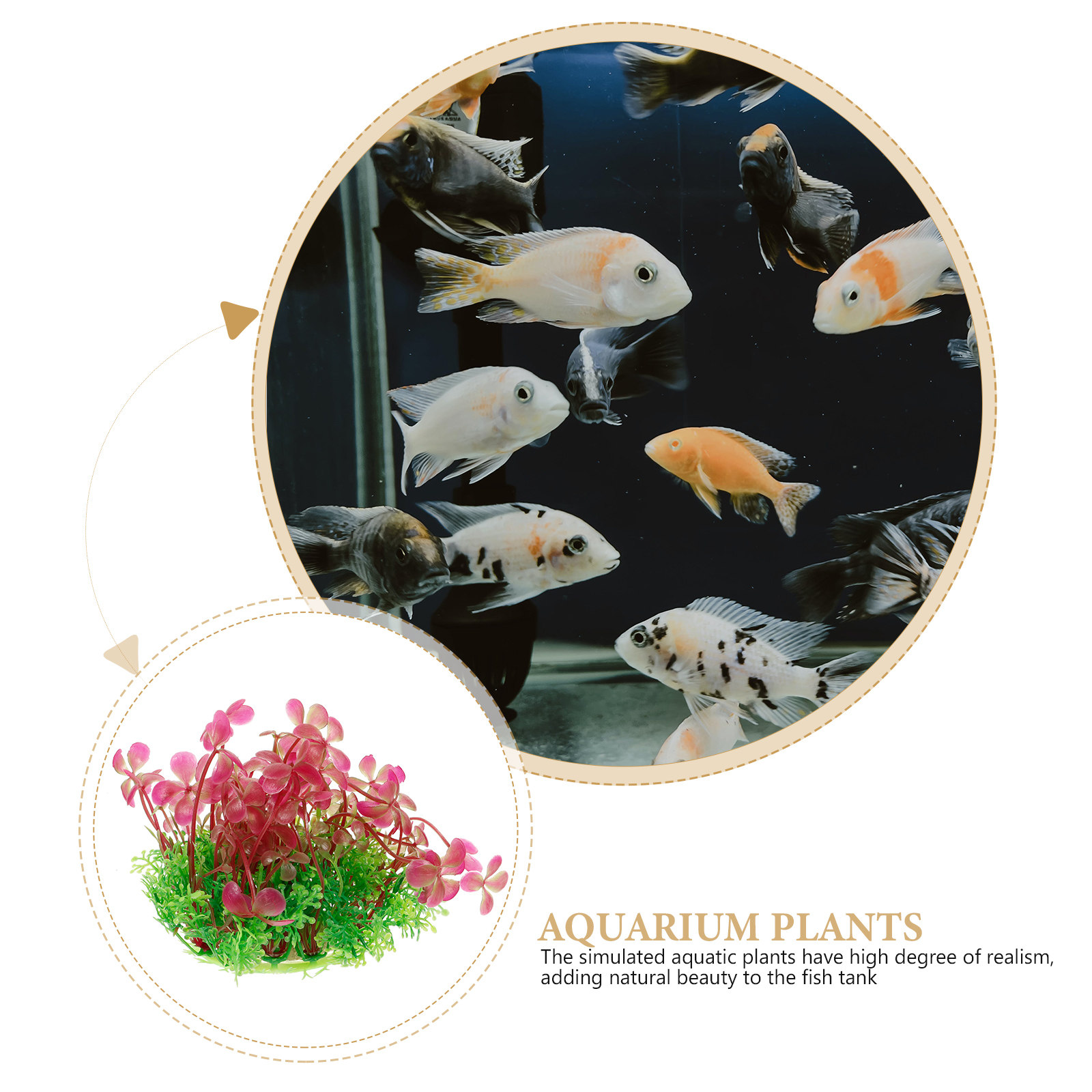 4 Leaf Clover Aquarium Decorat - Aquarium Planted Tank Setup recensie en prijs