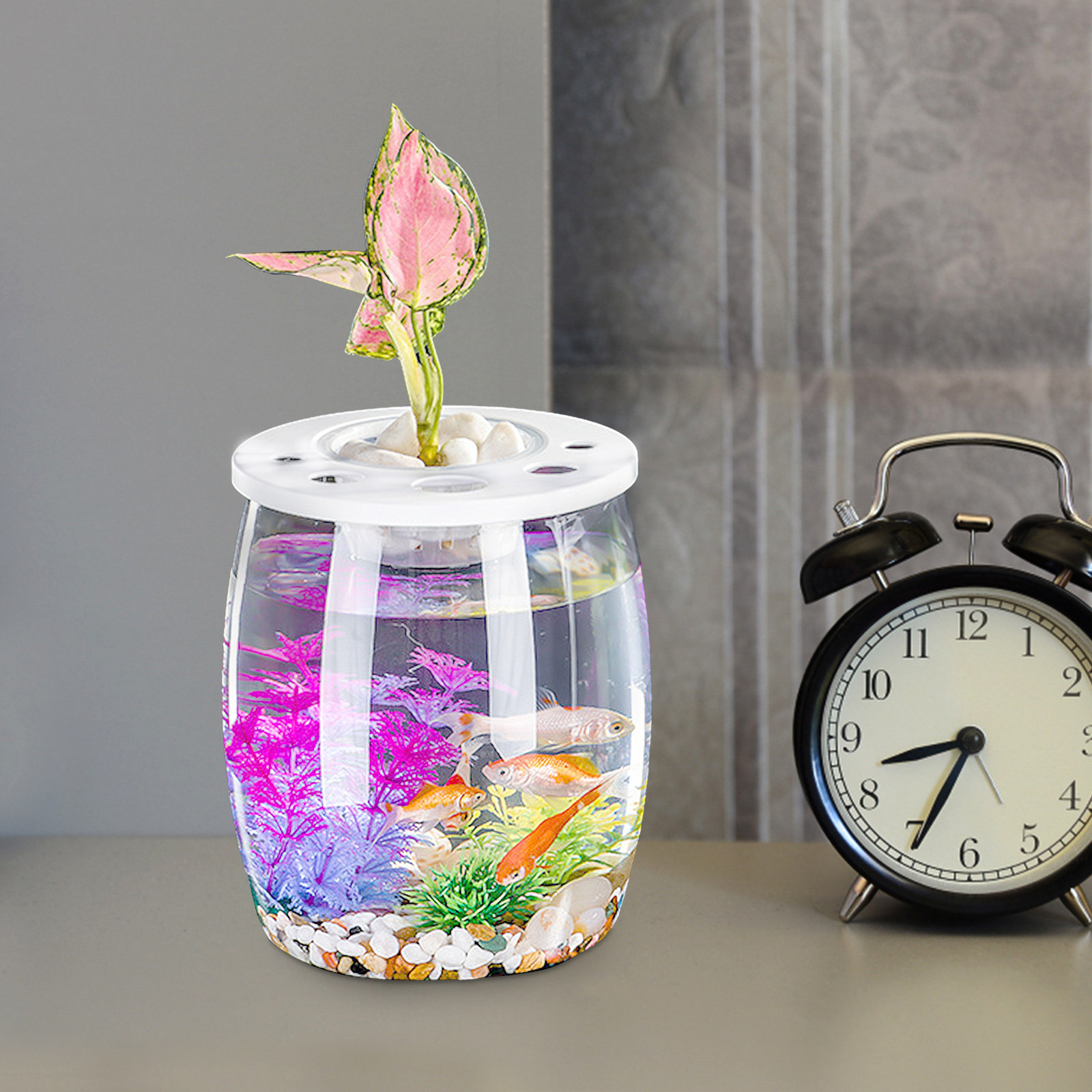 Clear Small Hydroponic Tank fo - Aquarium Planted Tank Setup recensie en prijs