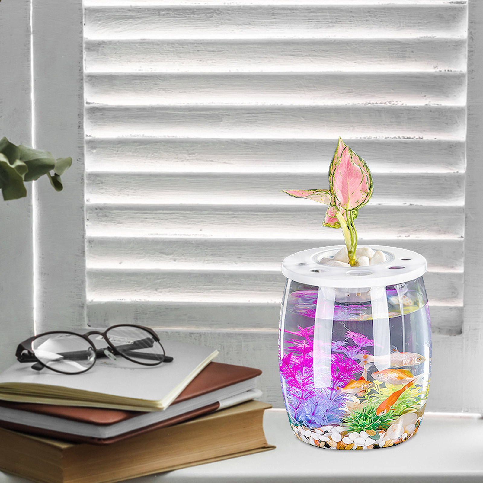 Clear Small Hydroponic Tank fo - Aquarium Planted Tank Setup recensie en prijs