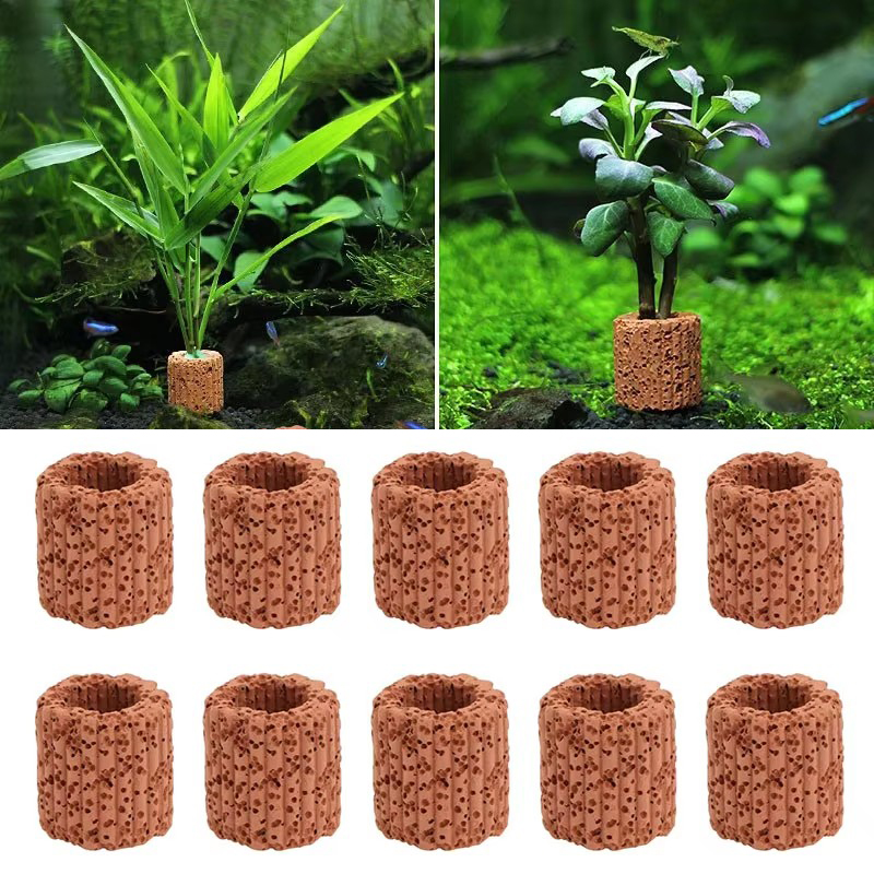 Aquatic Plant Fixed Ring for A - Aquarium Plant Utensils recensie en prijs