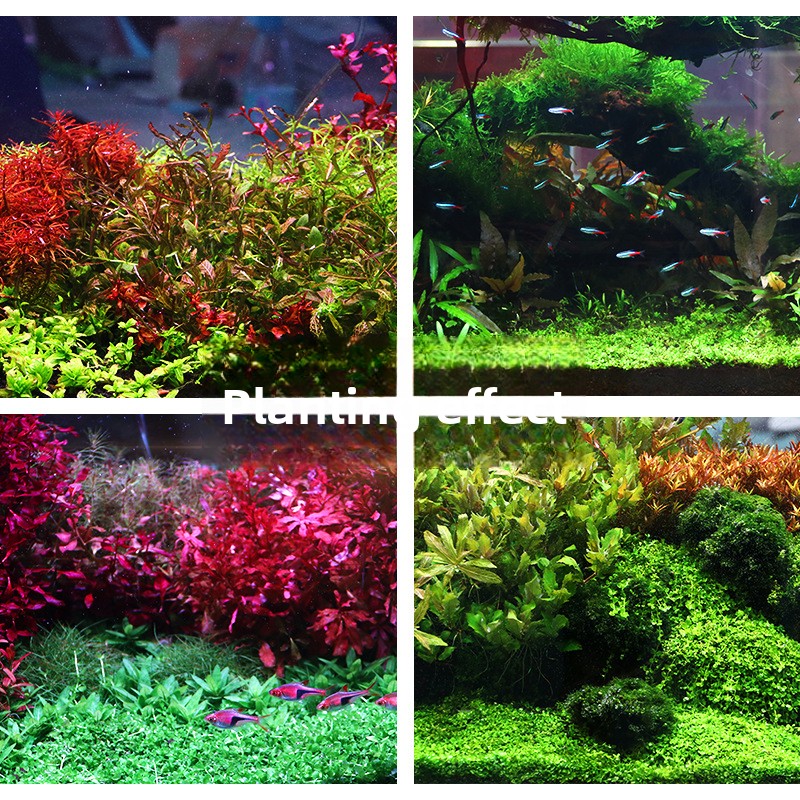 SYSENCIAGA Planted Aquarium Su - Aquarium Plant Fertilizer recensie en prijs