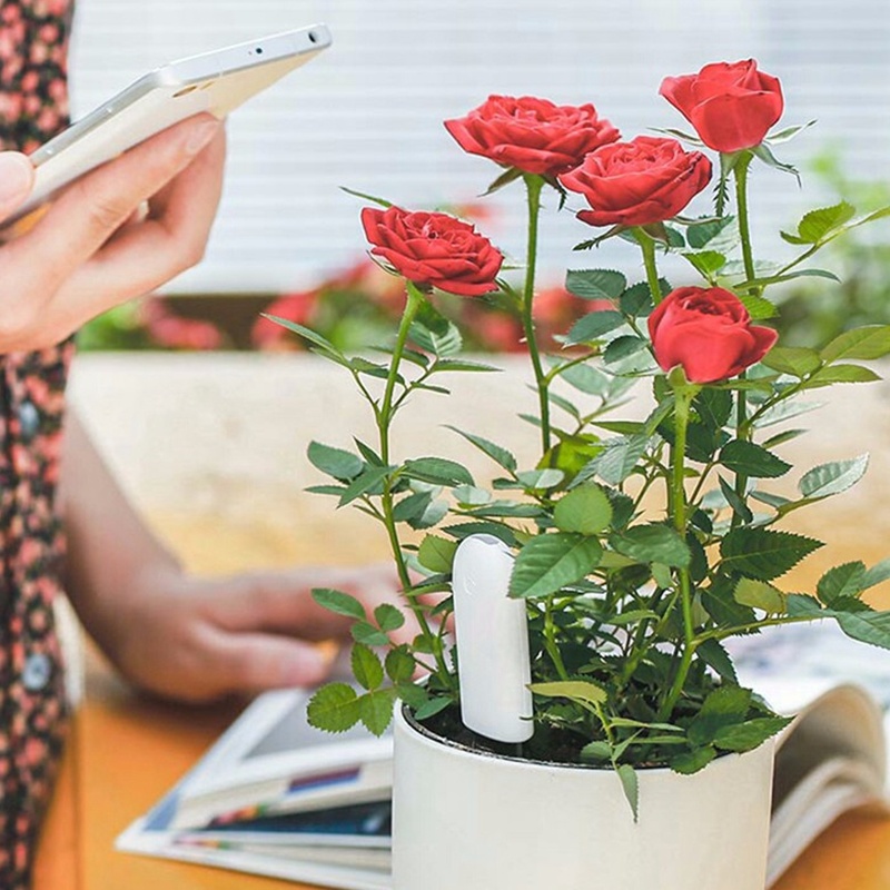 HHCC Flower Monitor Flora Gard - Tissue Culture Plant recensie en prijs