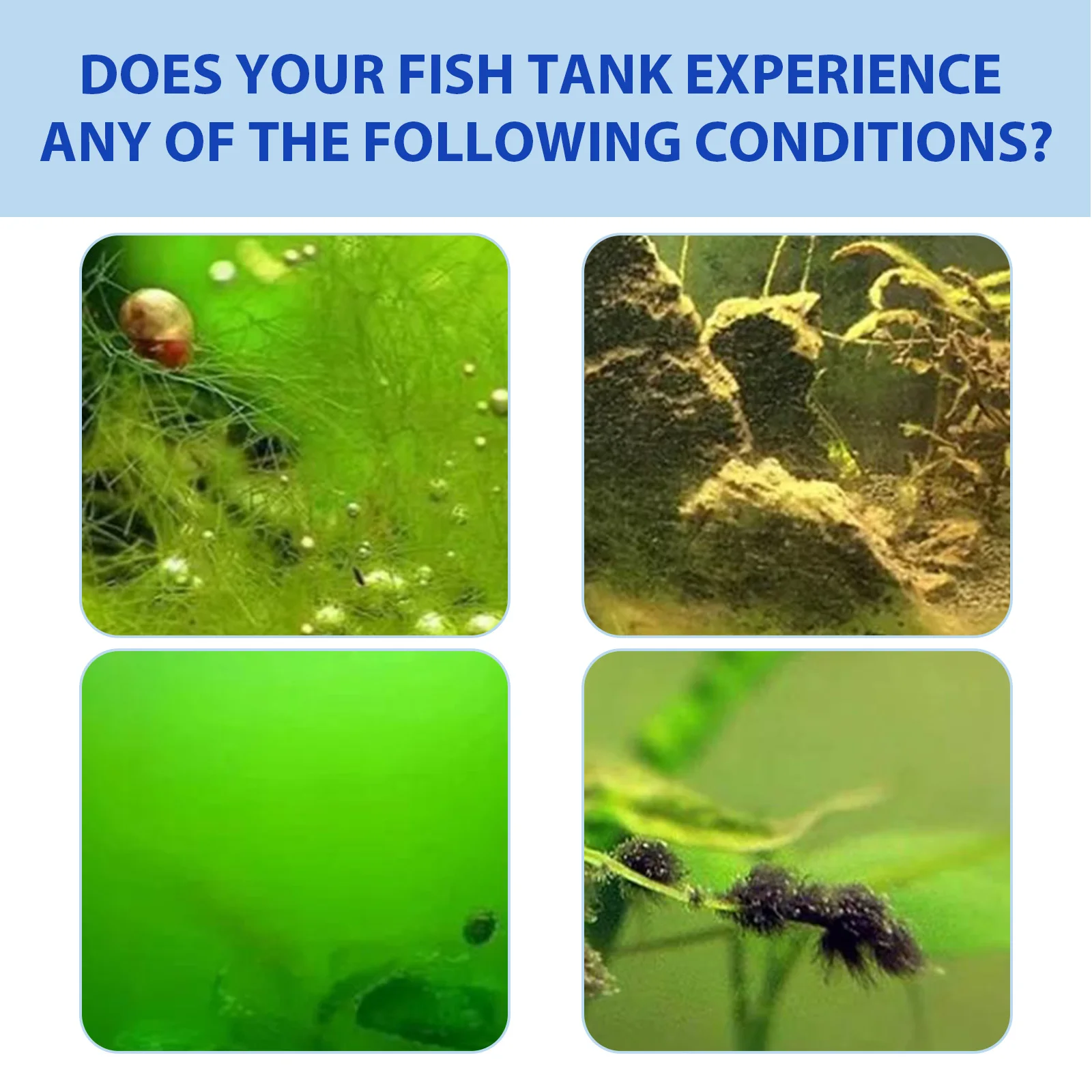 Yegbong Fish Tank Water Purifi - Aquarium Plant Fertilizer recensie en prijs