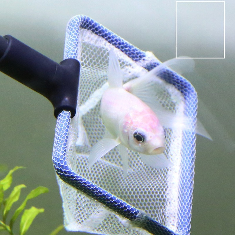 Aquarium Cleaning Tool Set Mul - Planted Aquarium Algae recensie en prijs