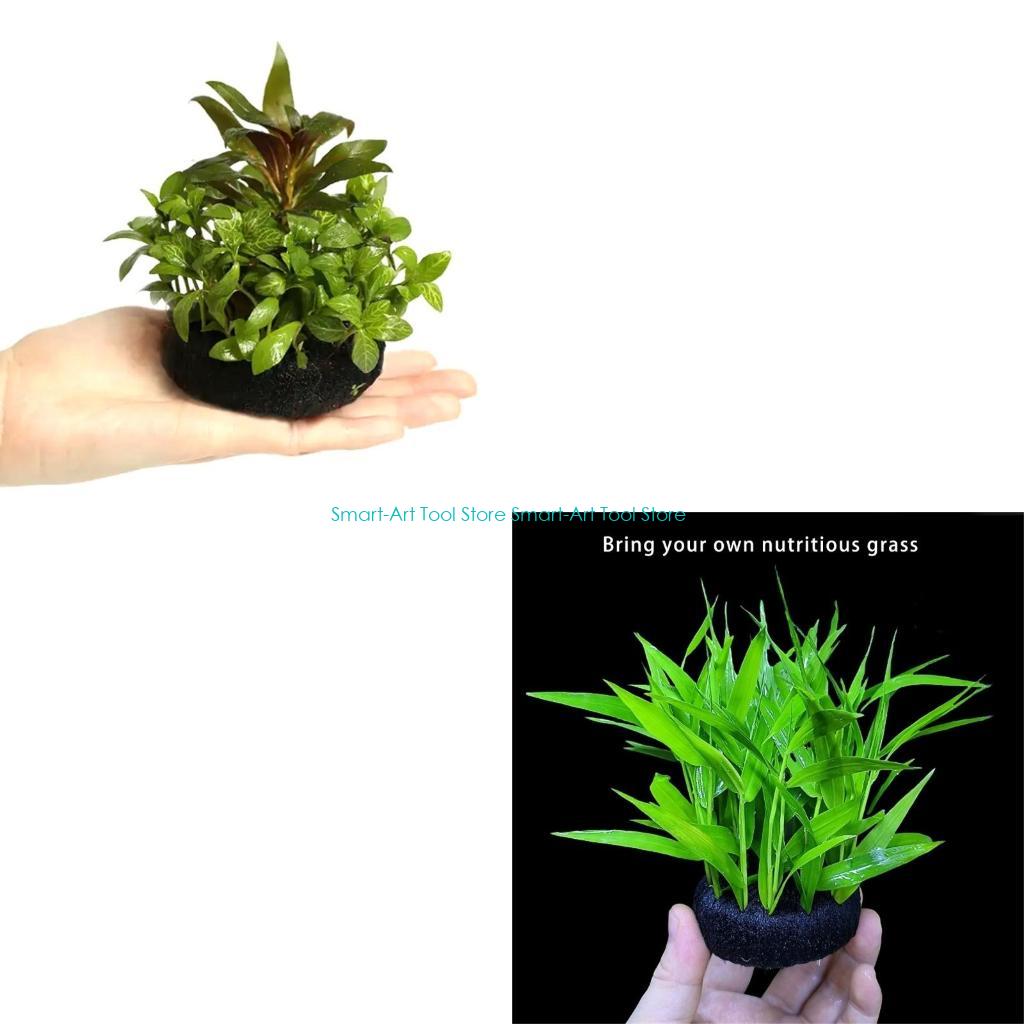 E1PB Nutrient Rich Resin Subst - Aquarium Plant Nutrients recensie en prijs