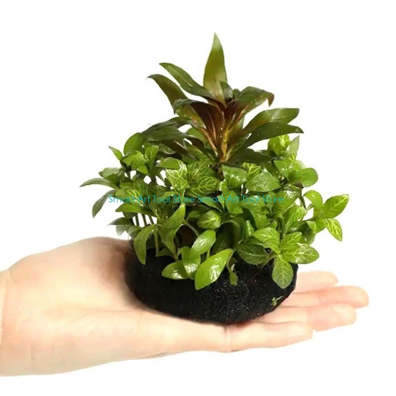 E1PB Nutrient Rich Resin Subst - Aquarium Plant Nutrients recensie en prijs