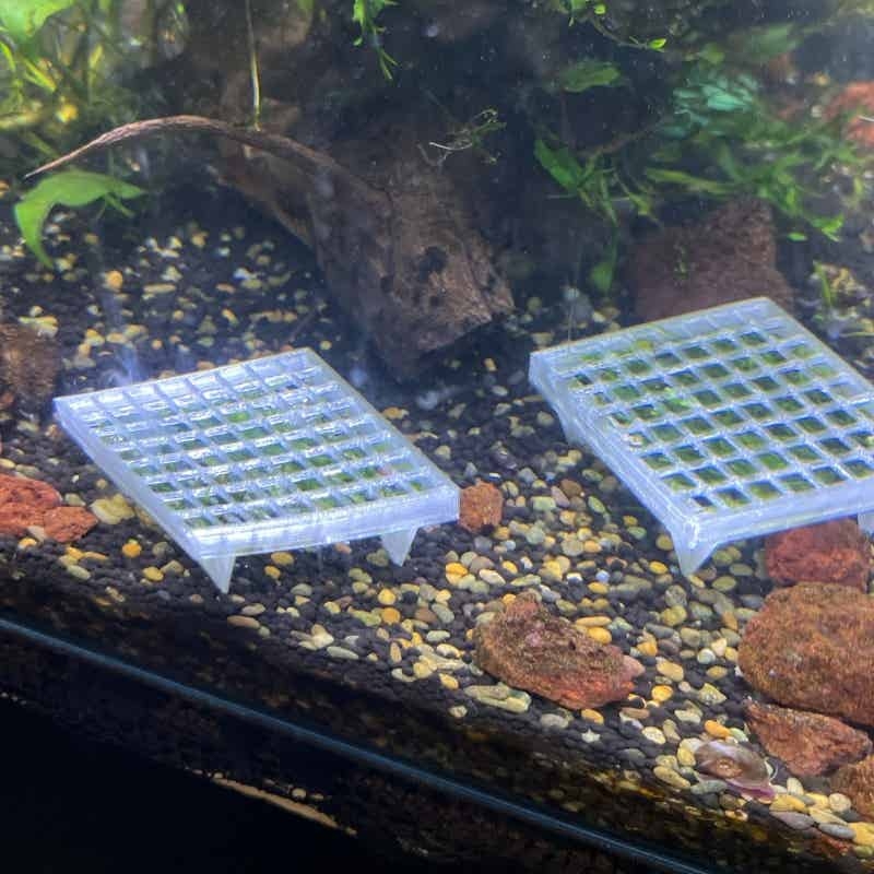 Aquarium Moss Cage Holder Fish - Aquarium Plant Echinodorus recensie en prijs