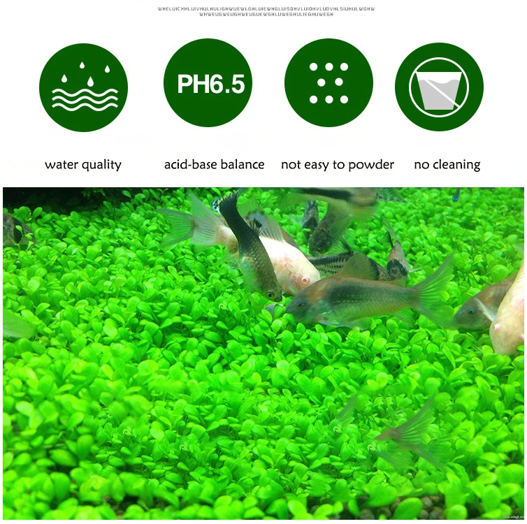 Fish Tank Water Grass Mud Plan - Aquarium Plant Nutrients recensie en prijs