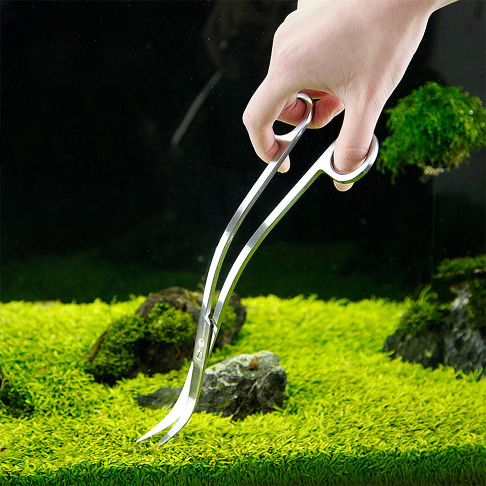 Aquarium Accessories Hard Stai - Aquarium Plant Utensils recensie en prijs