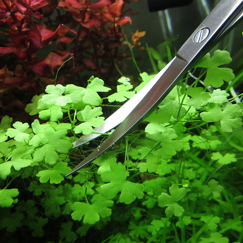 Aquarium Accessories Hard Stai - Aquarium Plant Utensils recensie en prijs