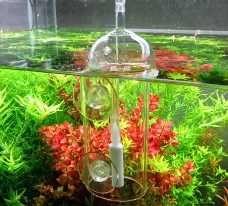 VIV DO DEVICE Aquarium Cylinde - Planted Aquarium Air Stone recensie en prijs