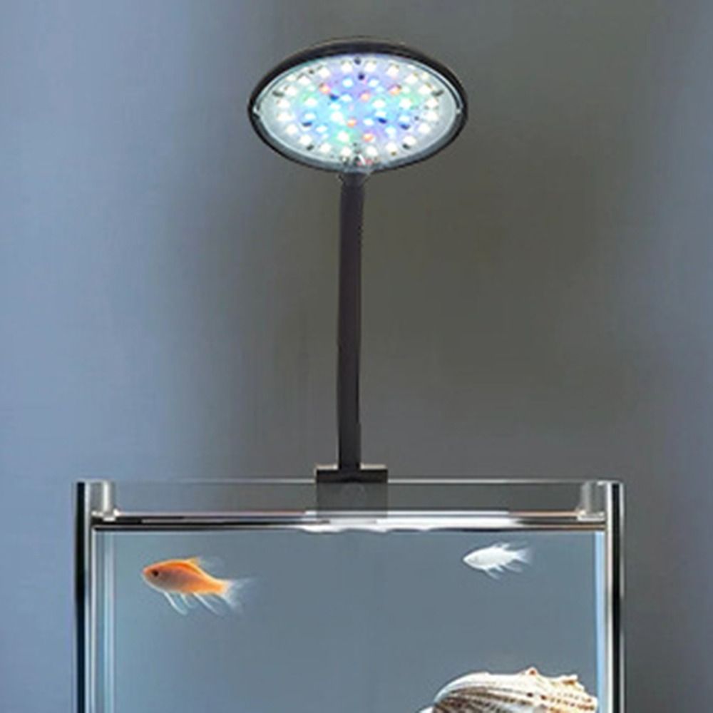 Mini Fish Tank Clip Lamp 5/7W  - Aquarium Plant Echinodorus recensie en prijs
