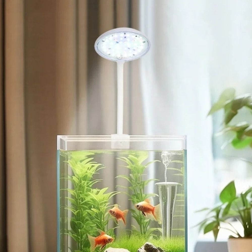Mini Fish Tank Clip Lamp 5/7W  - Aquarium Plant Echinodorus recensie en prijs