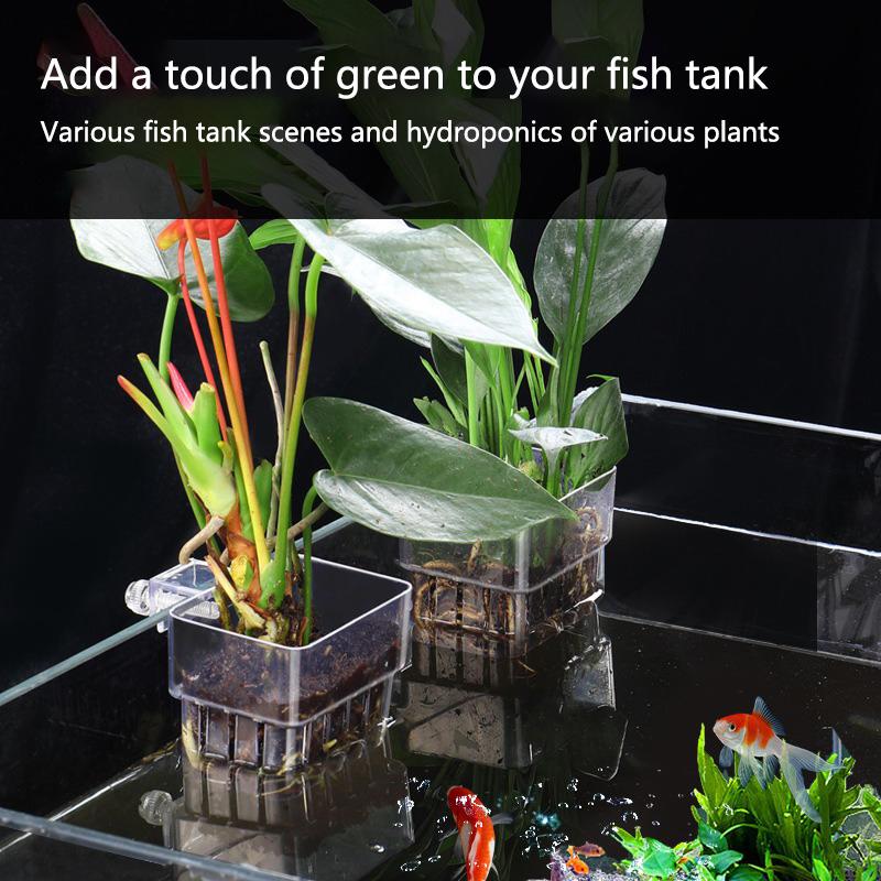 Aquarium Hydroponic Planting C - Aquarium Planted Tank Setup recensie en prijs